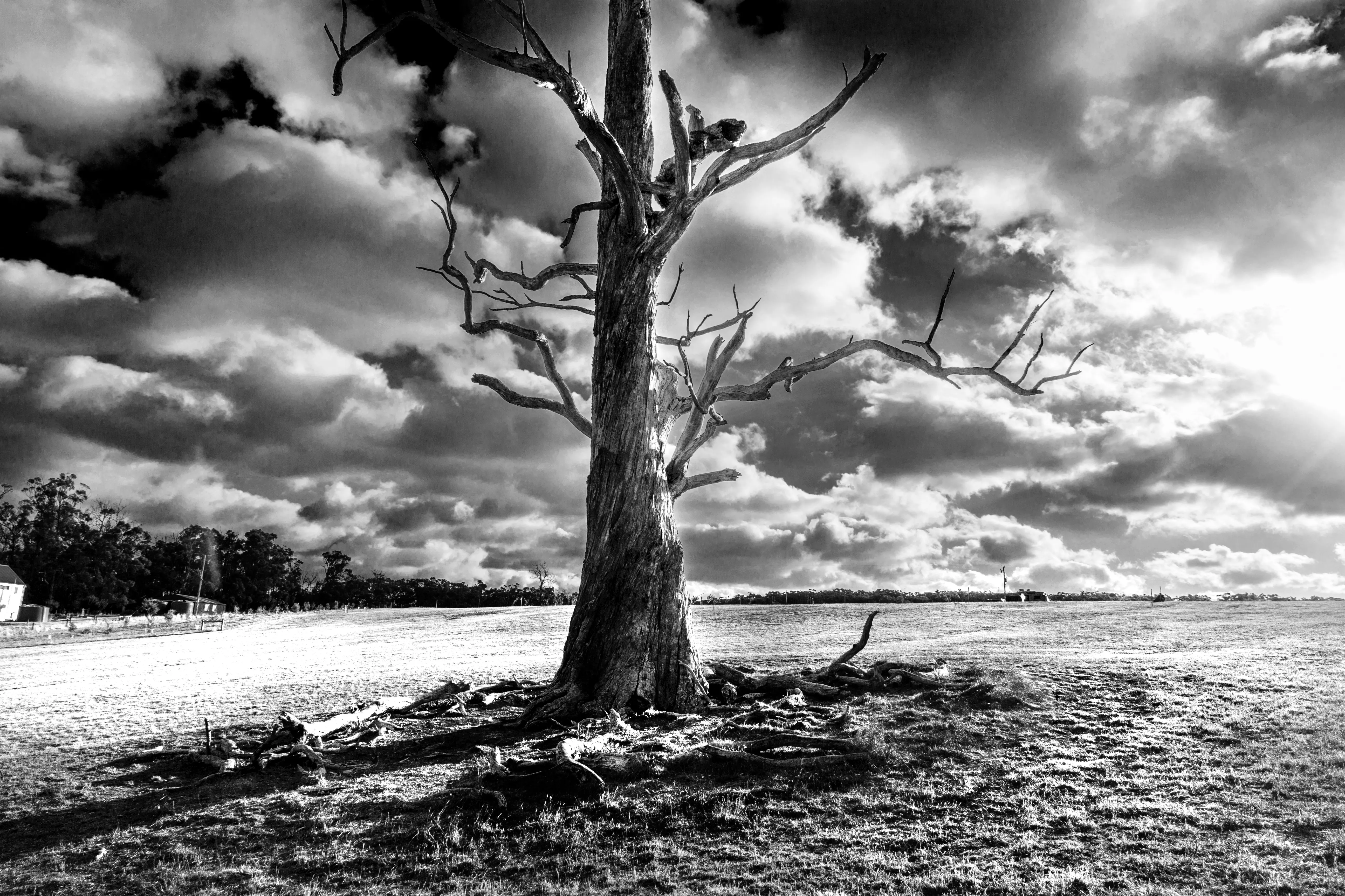Fine art print